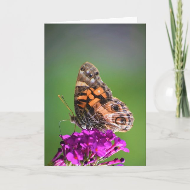 Schmetterling, Karte (Vorderseite)