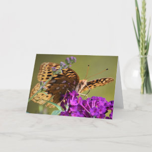 Schmetterling, Karte