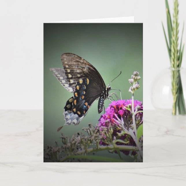 Schmetterling, Karte (Vorderseite)