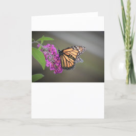 Schmetterling, Karte
