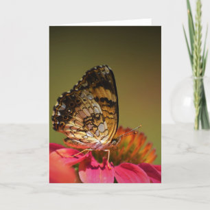 Schmetterling, Karte