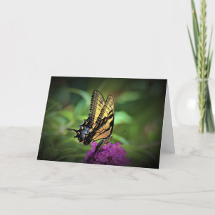 Schmetterling, Karte