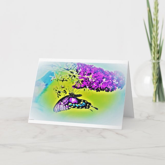 Schmetterling, Karte (Vorderseite)