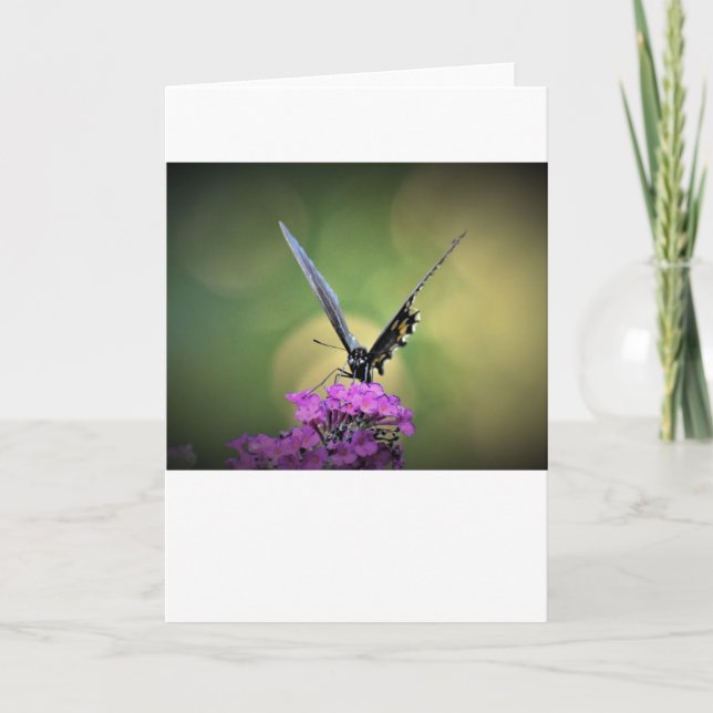 Schmetterling, Karte (Vorderseite)