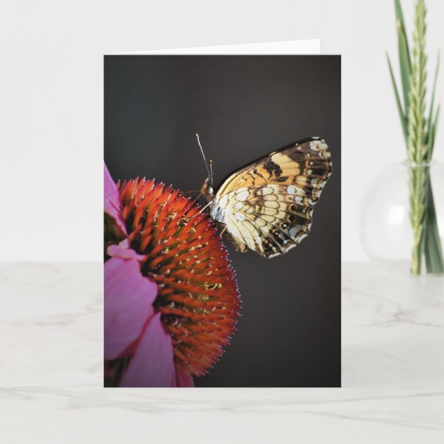 Schmetterling, Karte (Vorderseite)