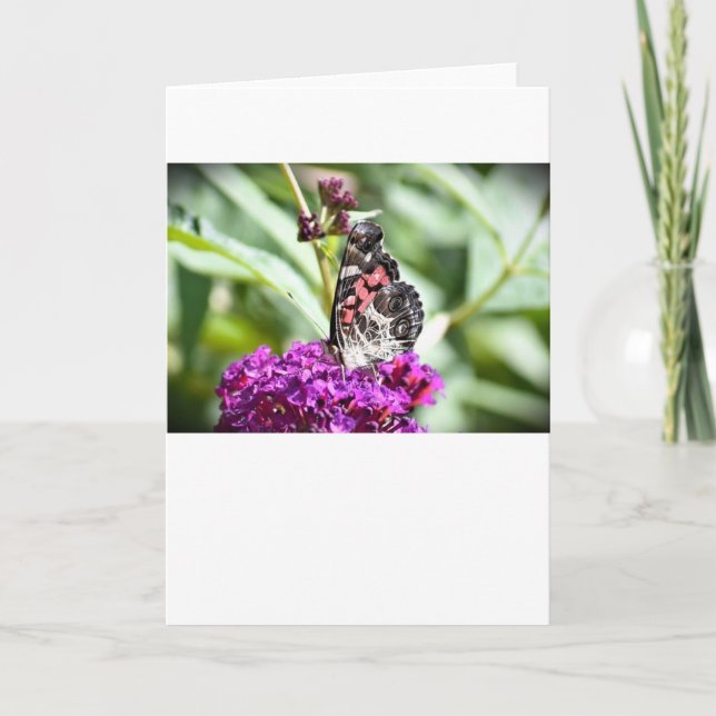 Schmetterling, Karte (Vorderseite)