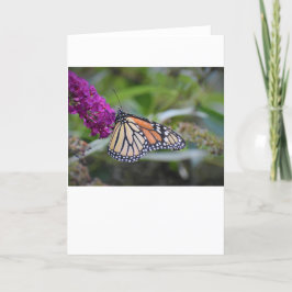 Schmetterling, Karte