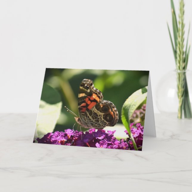 Schmetterling, Karte (Vorderseite)