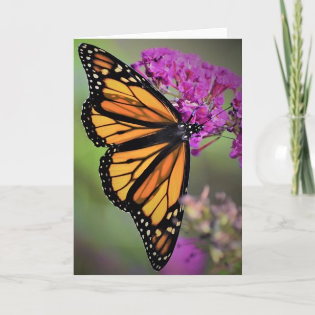 Schmetterling, Karte (Vorderseite)