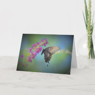 Schmetterling, Karte
