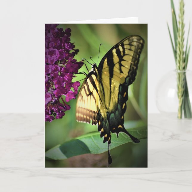 Schmetterling, Karte (Vorderseite)