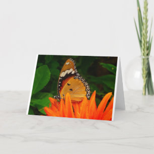 Schmetterling Karte