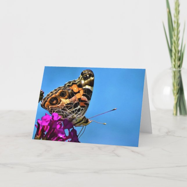 Schmetterling, Karte (Vorderseite)