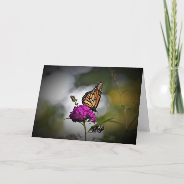 Schmetterling, Karte (Vorderseite)
