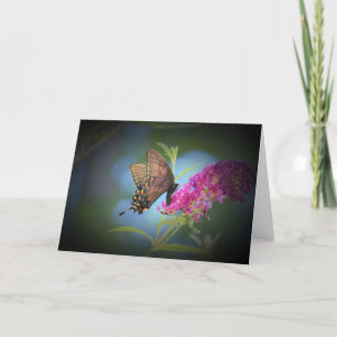 Schmetterling, Karte