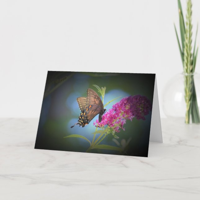 Schmetterling, Karte (Vorderseite)