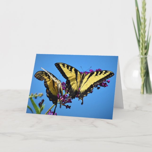 Schmetterling, Karte (Vorderseite)
