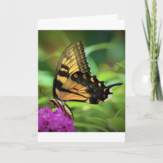Schmetterling, Karte (Vorderseite)