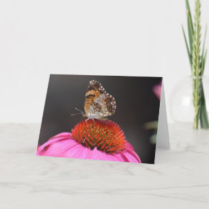 Schmetterling, Karte