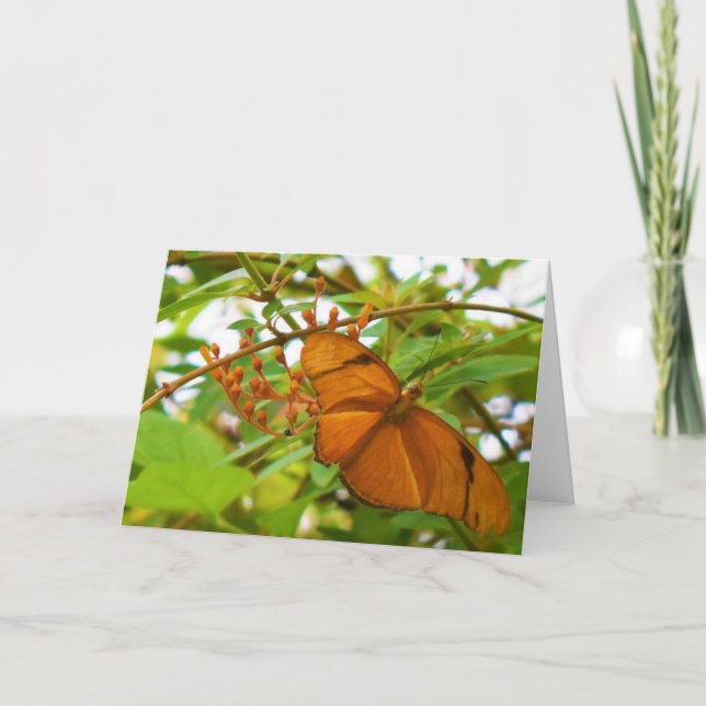 Schmetterling Karte (Vorderseite)