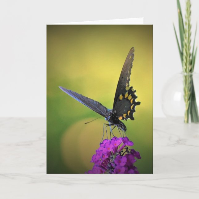 Schmetterling, Karte (Vorderseite)