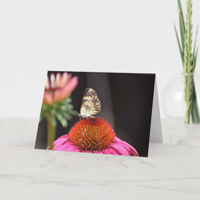 Schmetterling, Karte (Vorderseite)