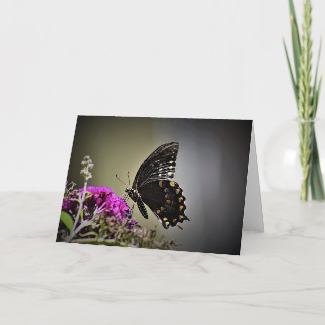 Schmetterling, Karte (Vorderseite)