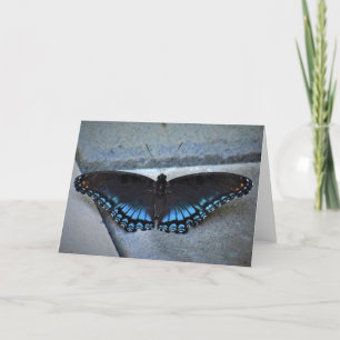 Schmetterling, Karte