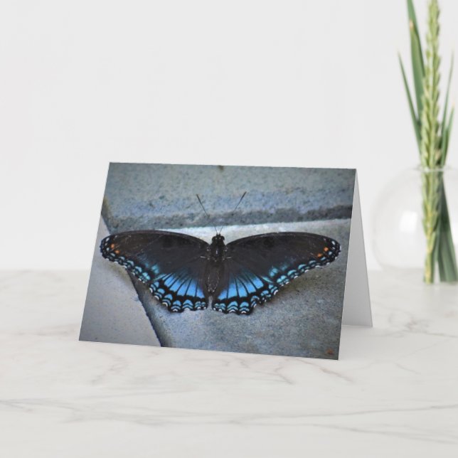 Schmetterling, Karte (Vorderseite)