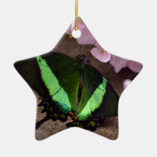 Schmetterling Keramik Ornament