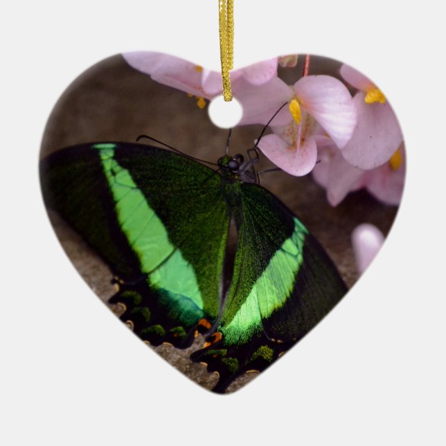 Schmetterling Keramikornament (Vorne)