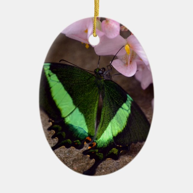 Schmetterling Keramikornament (Vorne)