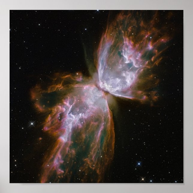 Schmetterling kommt vom Stellar Demise in Planetar Poster (Vorne)