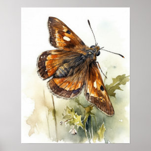 Schmetterling Kunst Druck Poster
