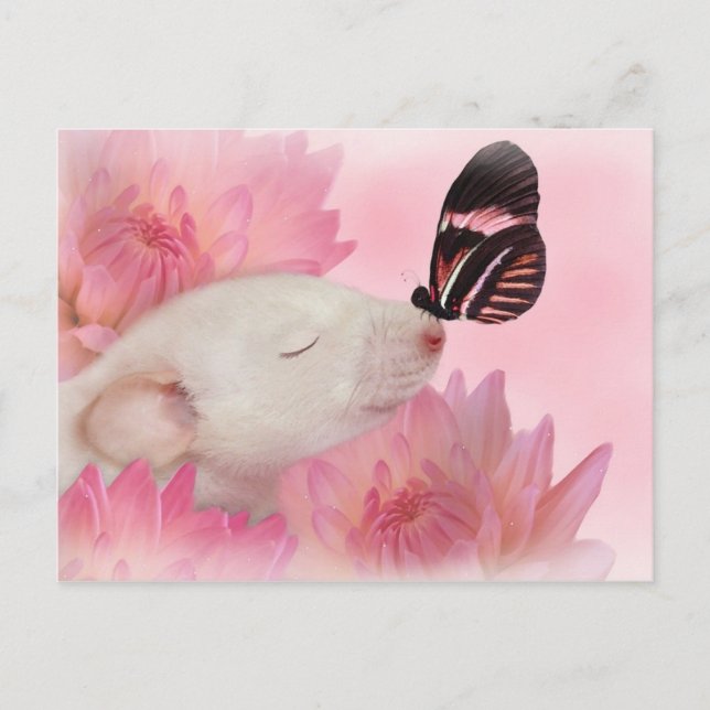 Schmetterling küsst Postkarte (Vorderseite)
