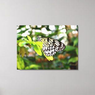 Schmetterling Leinwanddruck