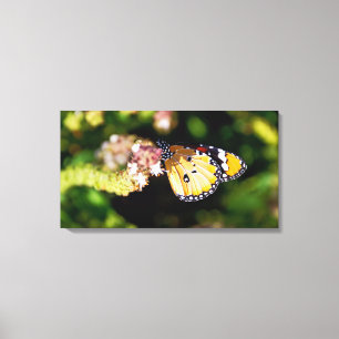 Schmetterling Leinwanddruck