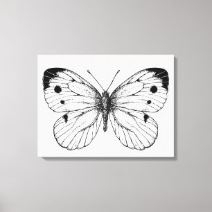Schmetterling Leinwanddruck