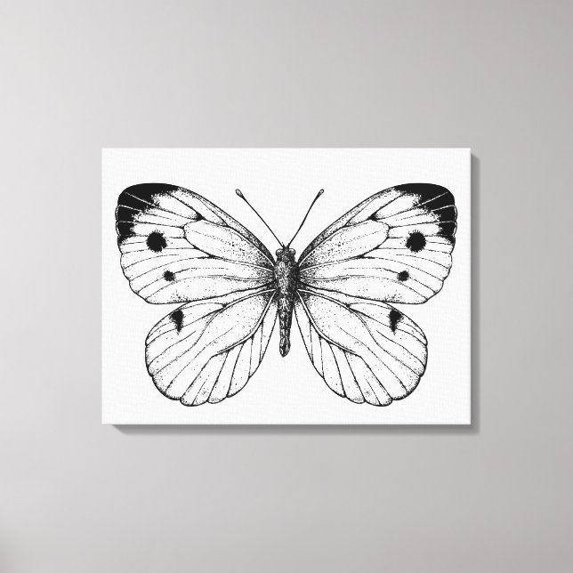 Schmetterling Leinwanddruck (Vorderseite)