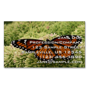 Schmetterling Limenitis archippus Schöne Naturfoto Magnetische Visitenkarte