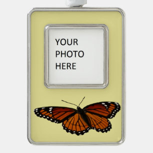 Schmetterling Limenitis archippus Schöne Naturfoto Rahmen-Ornament Silber