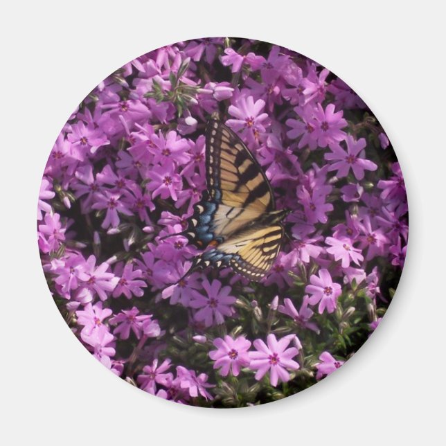 Schmetterling Magnet (Vorne)