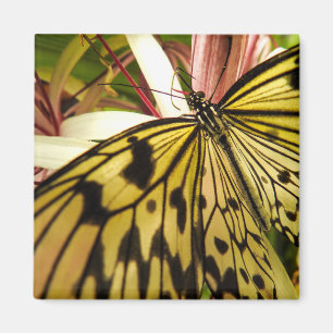 Schmetterling Magnet