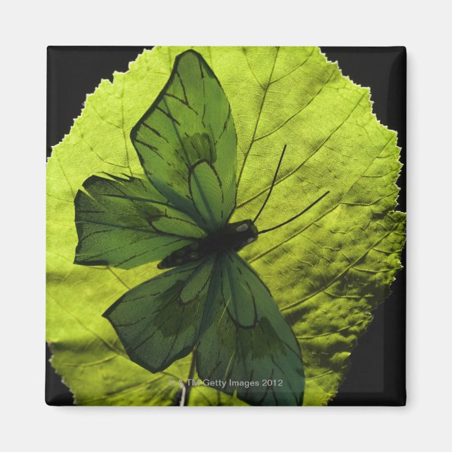 Schmetterling Magnet (Vorne)