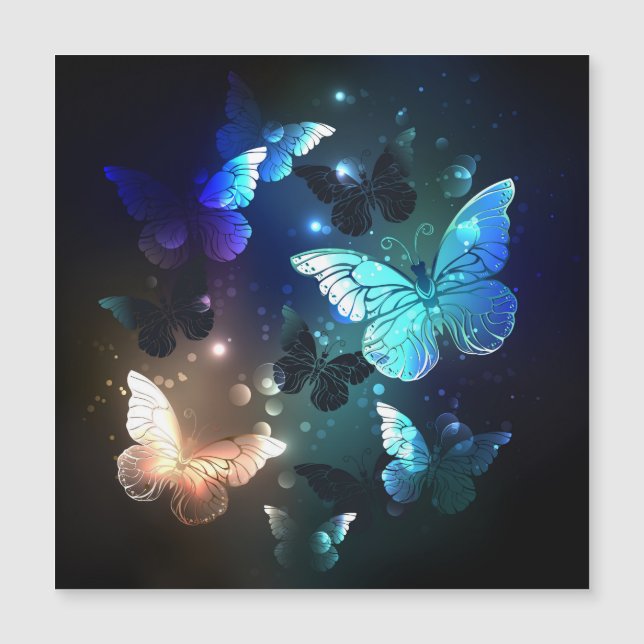Schmetterling Magneteinladung (Vorderseite)