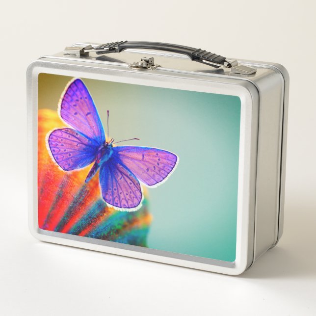 Schmetterling Metall Brotdose (Vorderseite)