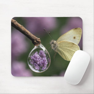 Schmetterling mit einem Regentropfen Mousepad