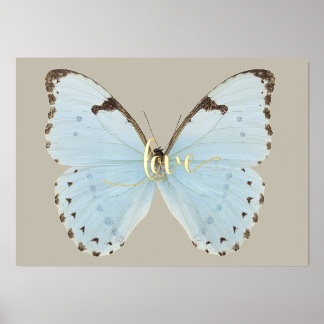 Schmetterling mit Liebe im Wald Foliendrucke (Vorderseite)