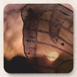 Schmetterling mit Sonnenuntergang von Shirley Tayl Untersetzer