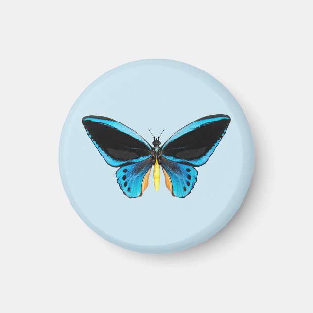 Schmetterling mit Vogelflügeln Magnet (Vorne)